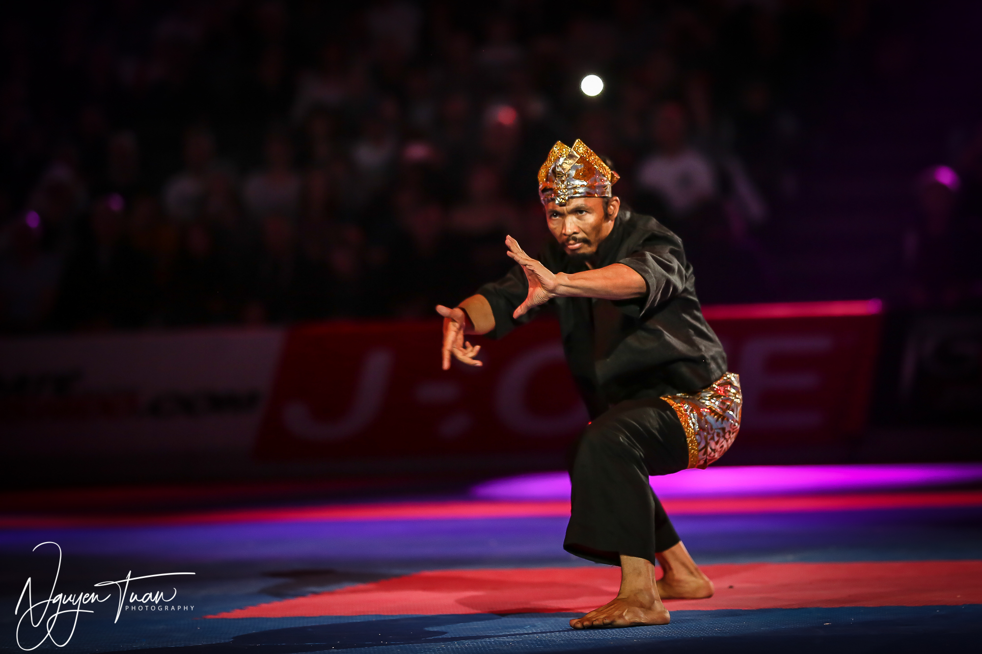 20190324 Festival des Arts Martiaux 3980